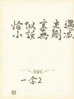 恰似寒光遇骄阳小说无删减正版在线阅读