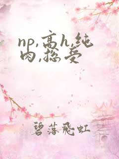 np,高h,纯肉,总受