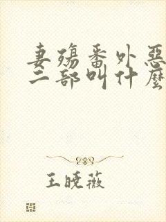 妻殇番外恶堕第二部叫什么