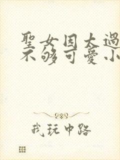 圣女因太过完美不够可爱小说