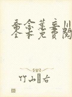 乔念叶妄川小说全本免费阅读最新章节