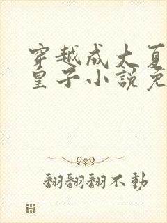 穿越成大夏国九皇子小说免费阅读