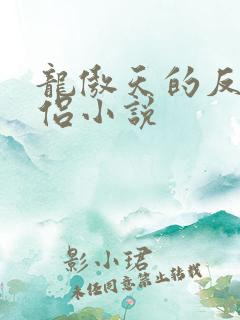 龙傲天的反派道侣小说