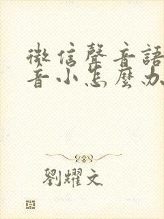 微信声音语音声音小怎么办