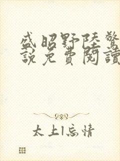 盛昭野陆惊棠小说免费阅读最新章节