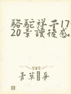 骆驼祥子17~20章读后感