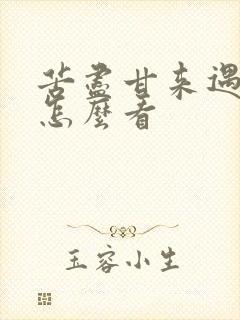 苦尽甘来遇见你怎么看