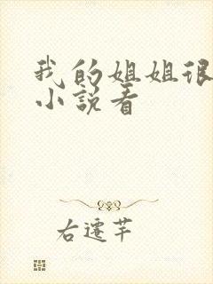 我的姐姐很弟控小说看