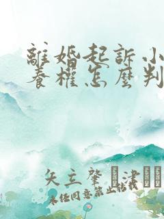 离婚起诉小孩抚养权怎么判