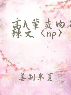 高h荤爽肉欲文辣文〈np〉