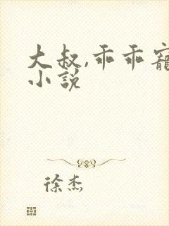 大叔,乖乖宠我小说