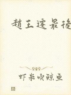 赵王迁最后结局