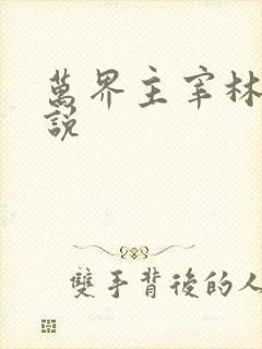 万界主宰林枫小说