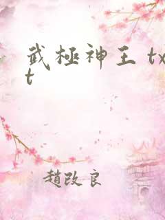 武极神王 txt