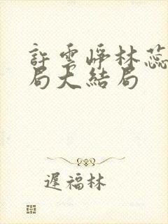 许云峥林蕊思结局大结局