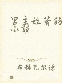 男主姓萧的总裁小说