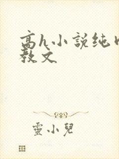 高h小说纯肉调教文