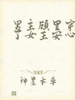 男主顾里穿越睡了女主安心的小说