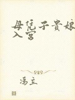 母凭子贵娘娘新入宫