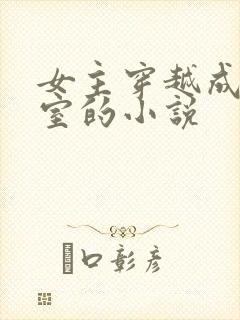 女主穿越成了外室的小说