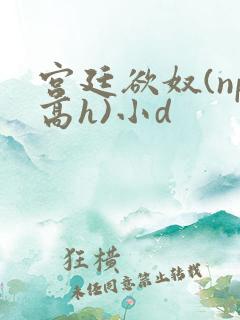宫廷欲奴(np高h)小d
