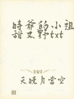 时爷的小祖宗又甜又野txt
