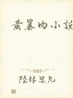 黄暴肉小说