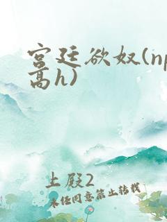 宫廷欲奴(np高h)