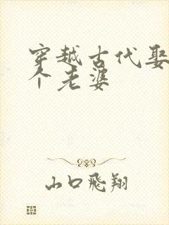 穿越古代娶14个老婆