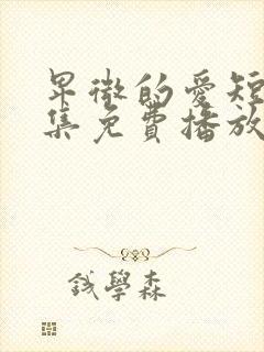 卑微的爱短剧全集免费播放