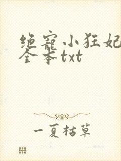 绝宠小狂妃下载全本txt