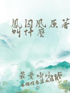 凤囚凰原著小说叫什么