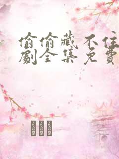 偷偷藏不住电视剧全集免费播放