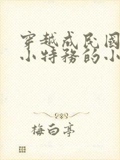 穿越成民国底层小特务的小说