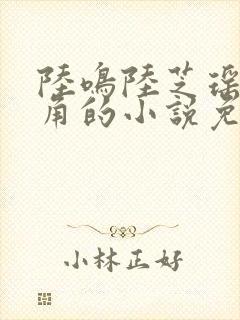 陆鸣陆芝瑶为主角的小说免费阅读