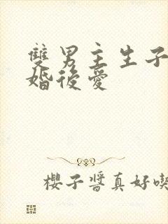 双男主生子文先婚后爱