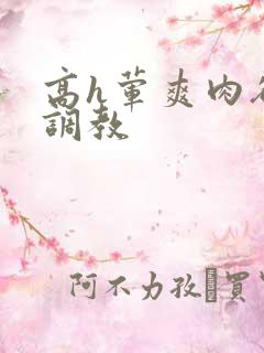 高h荤爽肉欲文调教