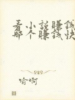 看小说赚钱软件哪个赚钱快