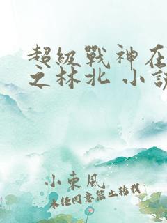 超级战神在都市之林北 小说