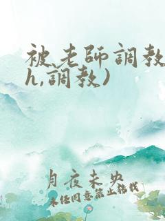 被老师调教(高h,调教)