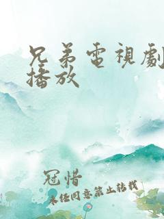 兄弟电视剧免费播放