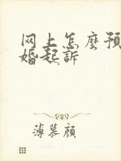 网上怎么预约离婚起诉