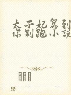 太子妃驾到总裁你别跑小说