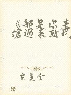 《那是你老婆,抢过来就我的了》歌词