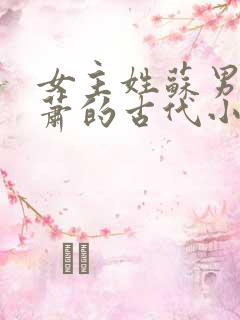 女主姓苏男主姓萧的古代小说