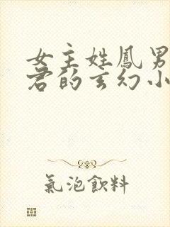 女主姓凤男主姓君的玄幻小说