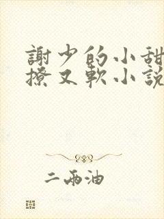 谢少的小甜妻又撩又软小说