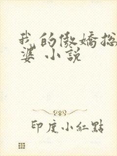 我的傲娇总裁老婆 小说