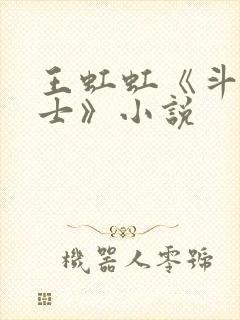 王虹虹《斗龙战士》小说