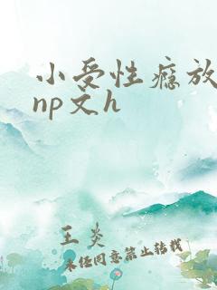小受性瘾放荡的np文h